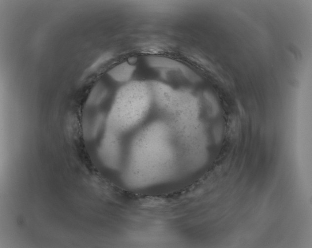 X0000113181446200909181843