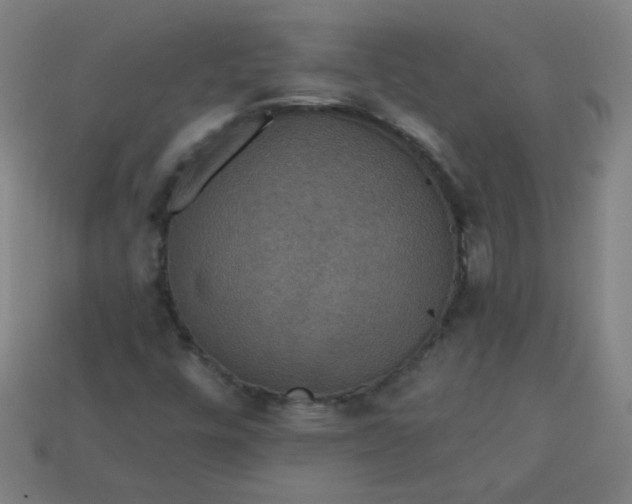 X0000113181448200909181843