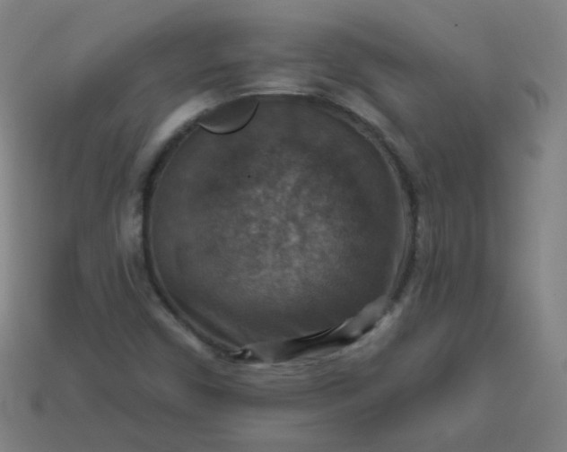 X0000113181450200909181843