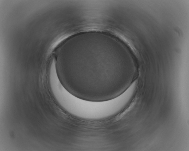 X0000113181453200909181843