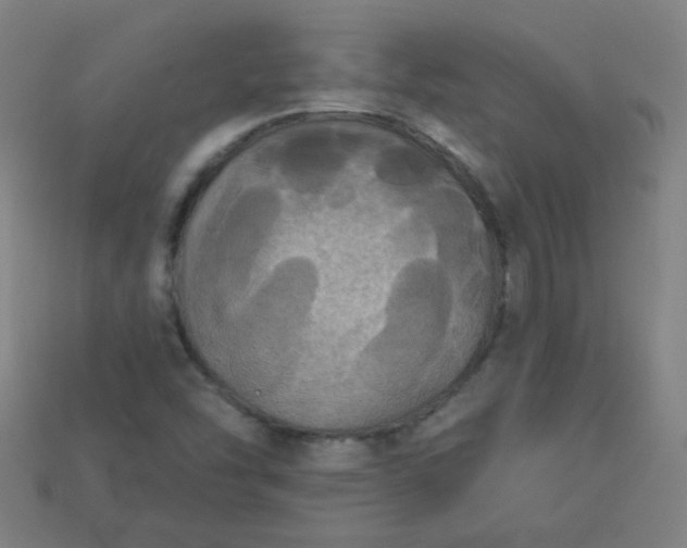 X0000113181454200909181843