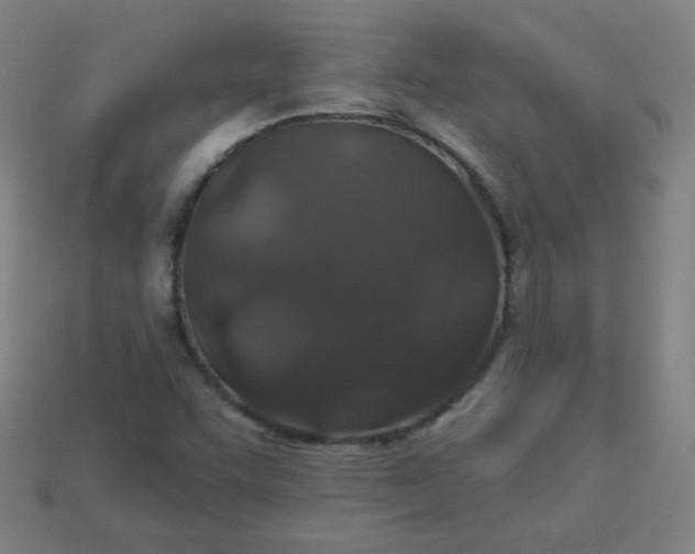 X0000113181455200909181843