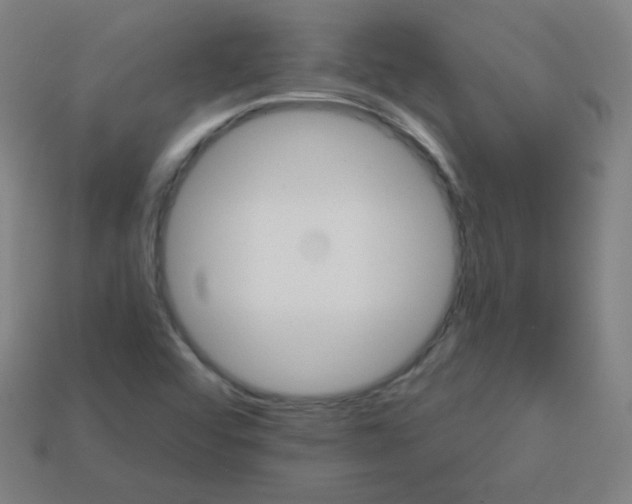 X0000113181456200909181843