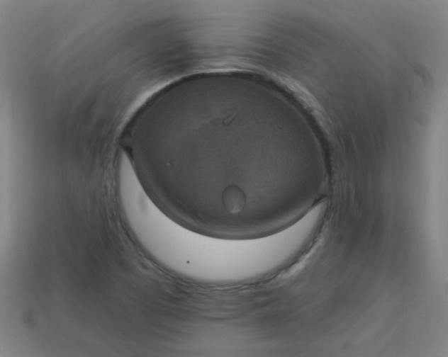 X0000113181457200909181843