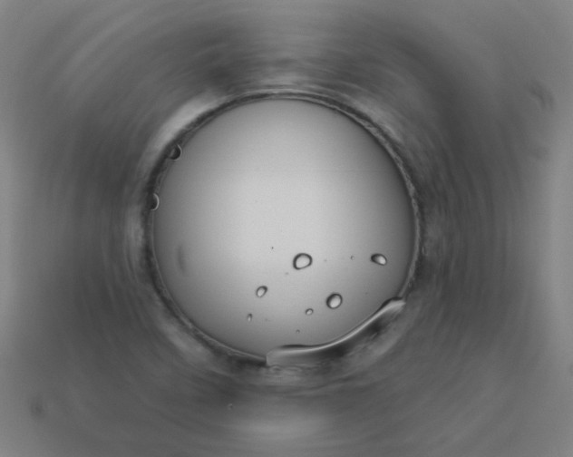 X0000113181458200909181843