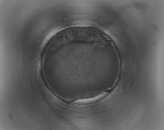 X0000113181459200909181843