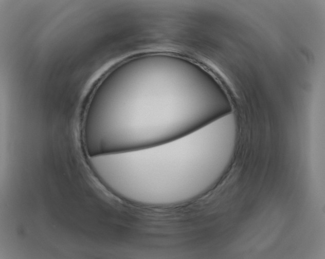 X0000113181460200909181843