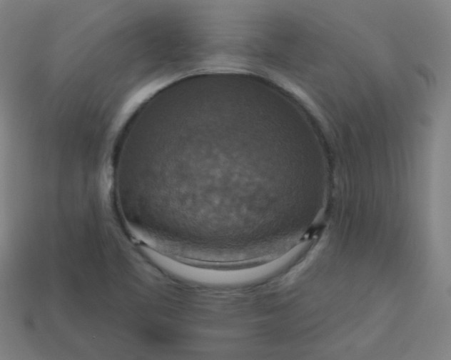 X0000113181461200909181843