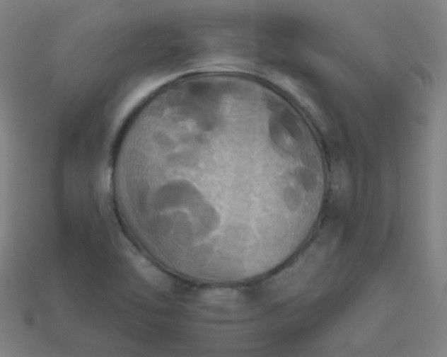 X0000113181462200909181843