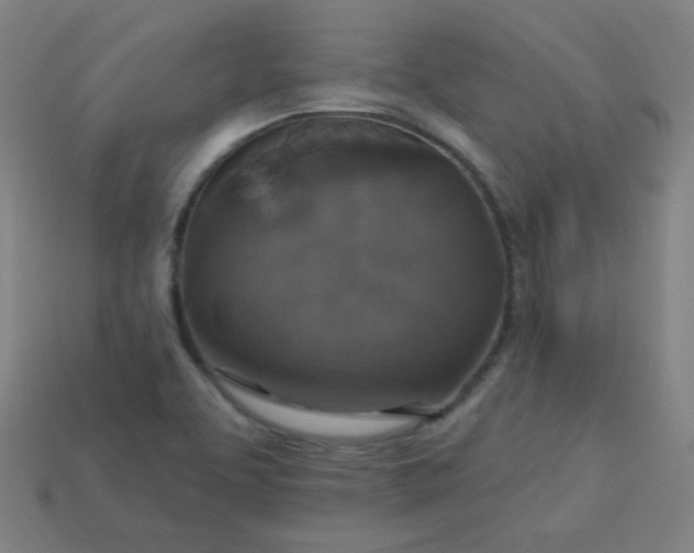 X0000113181463200909181843