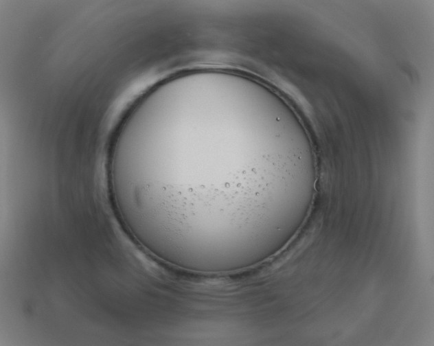 X0000113181464200909181843