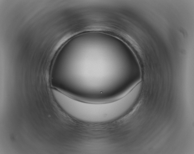 X0000113181465200909181843