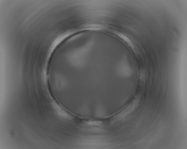 X0000113181466200909181843