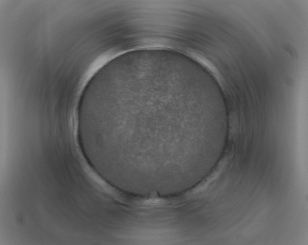 X0000113181467200909181843