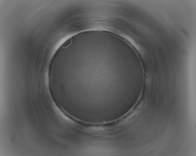 X0000113181468200909181843