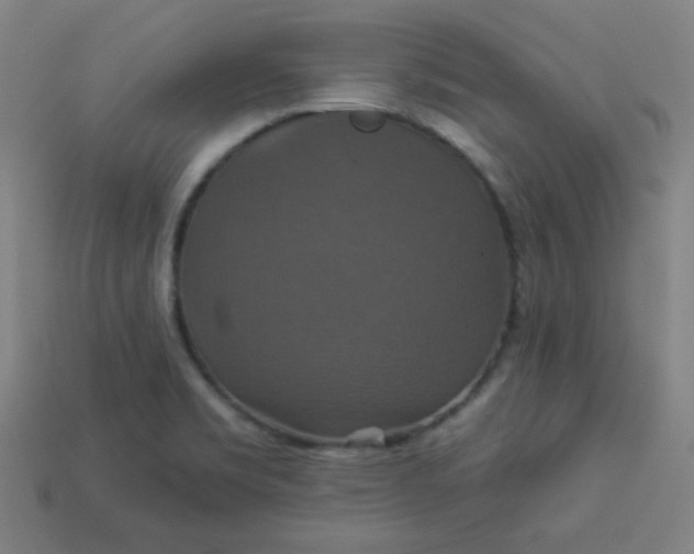 X0000113181469200909181843