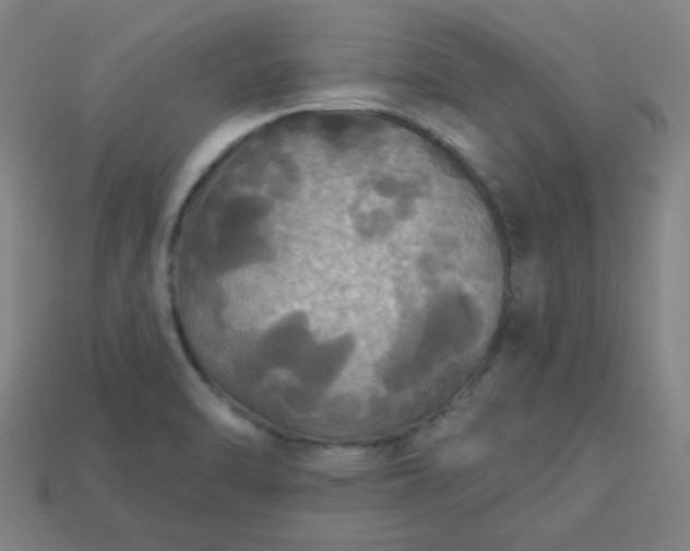 X0000113181470200909181843