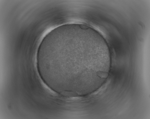 X0000113181471200909181843