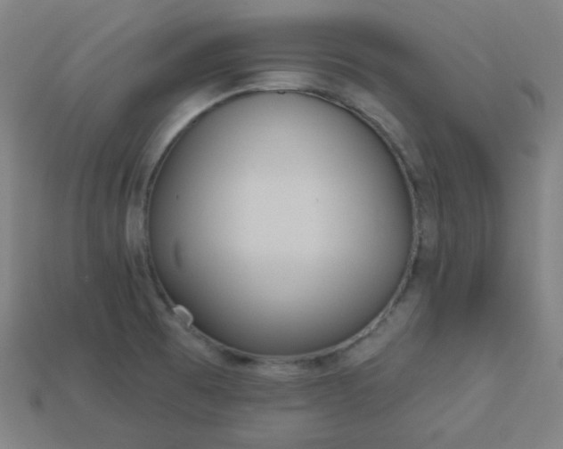 X0000113181473200909181843