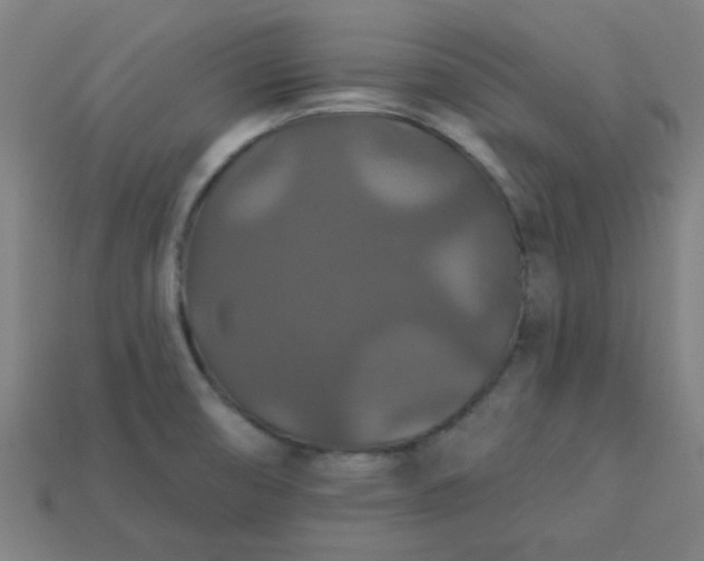 X0000113181474200909181843