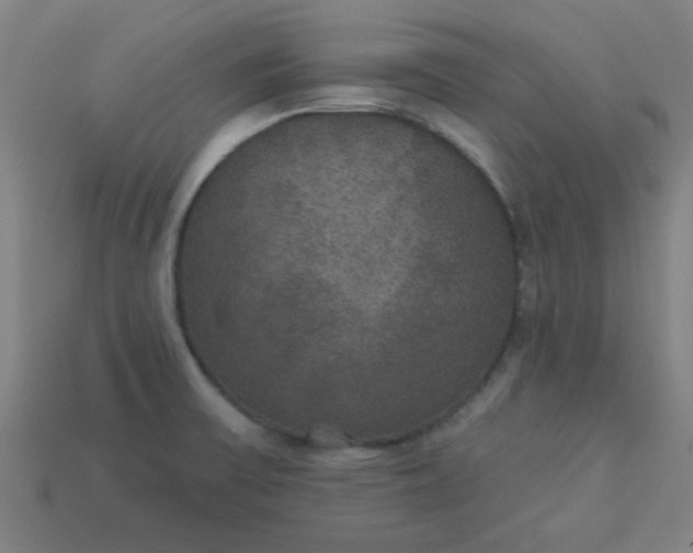 X0000113181475200909181843