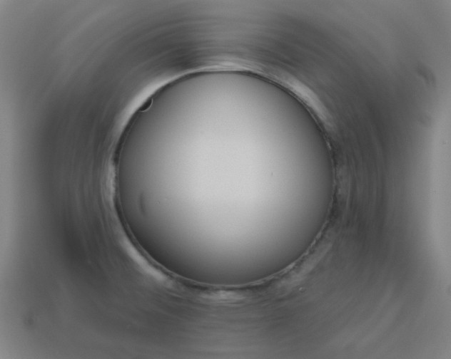 X0000113181476200909181843