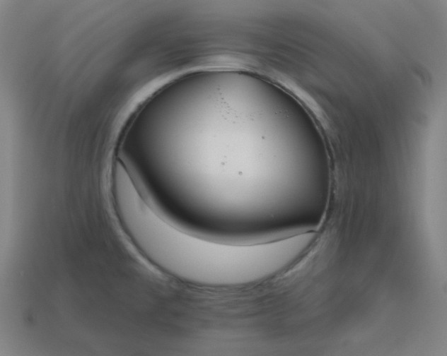 X0000113181477200909181843