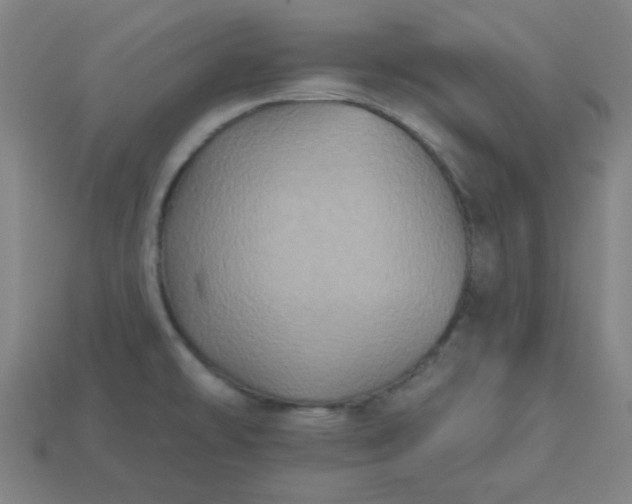 X0000113181478200909181843