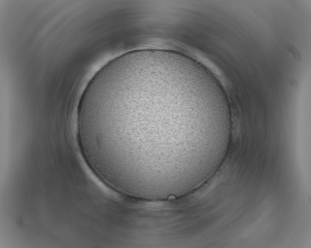 X0000113181479200909181843