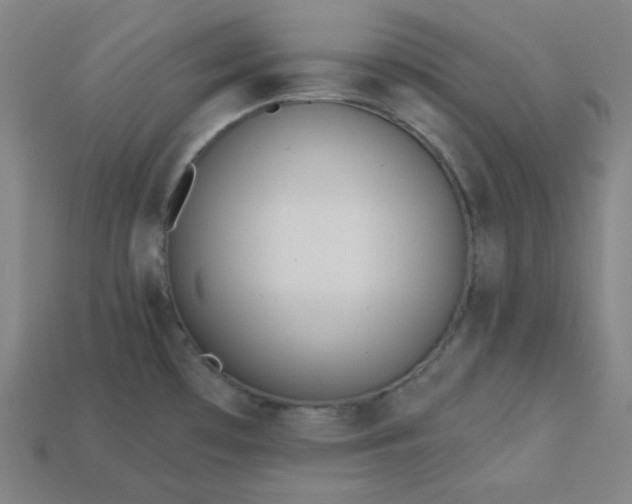 X0000113181481200909181843