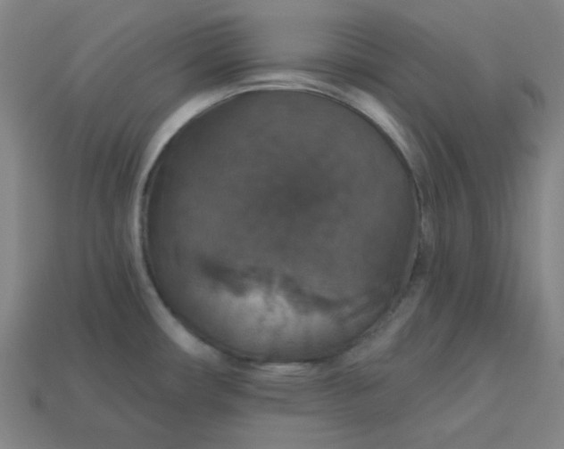 X0000113181482200909181843