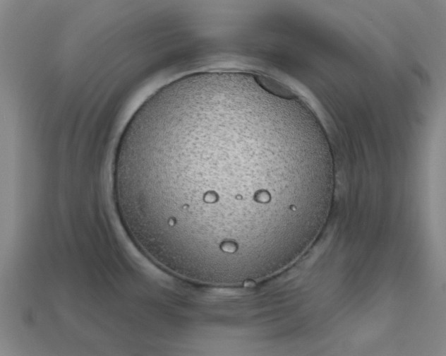 X0000113181483200909181843