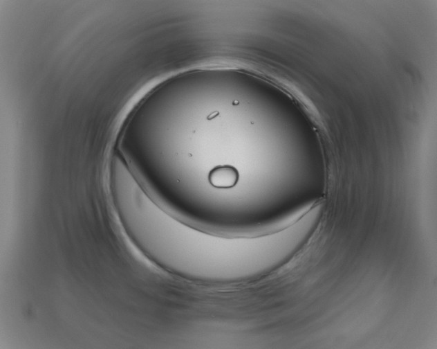 X0000113181484200909181843