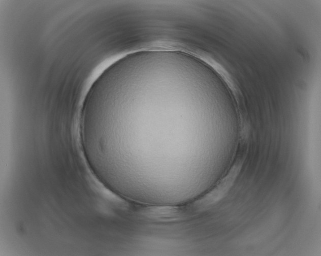 X0000113181486200909181843