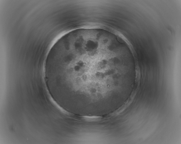 X0000113181487200909181843