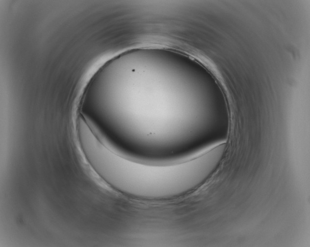 X0000113181488200909181843