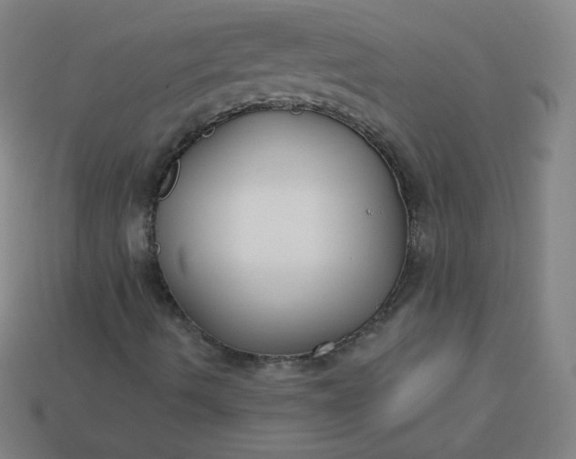 X0000113181490200909181842