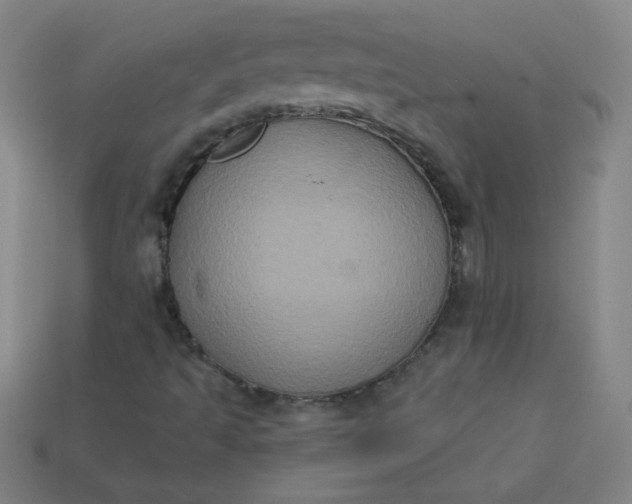 X0000113181493200909181842