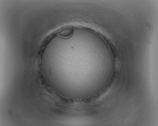 X0000113181494200909181842