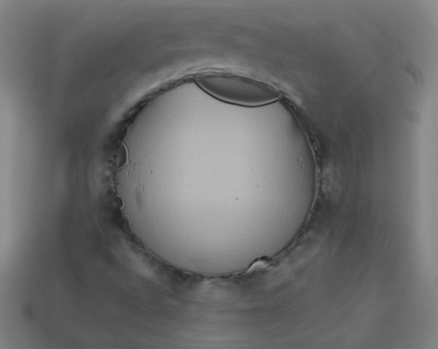 X0000113181496200909181842