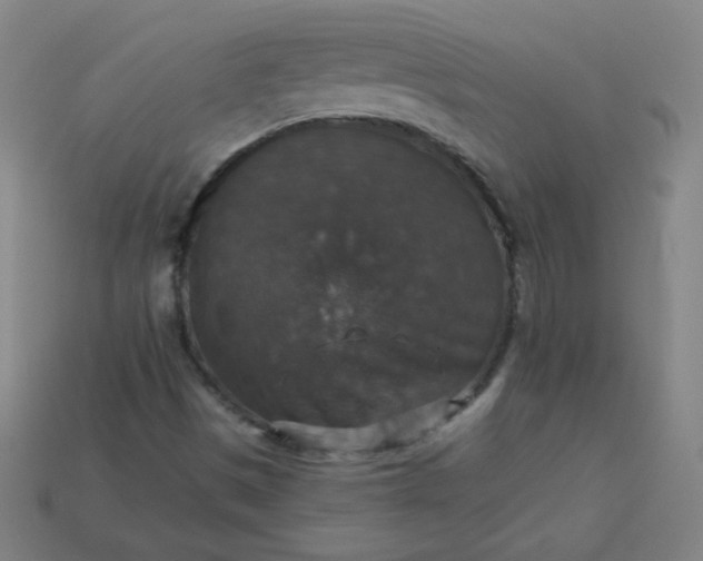 X0000113181497200909181842