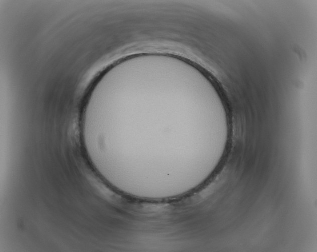 X0000113181498200909181842