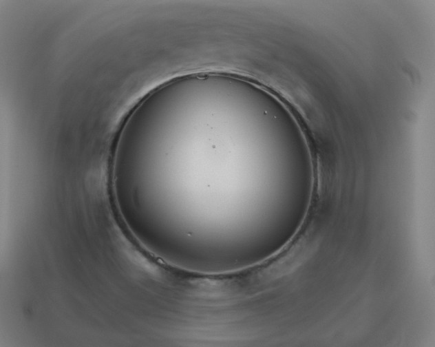 X0000113181500200909181842