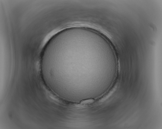 X0000113181501200909181842