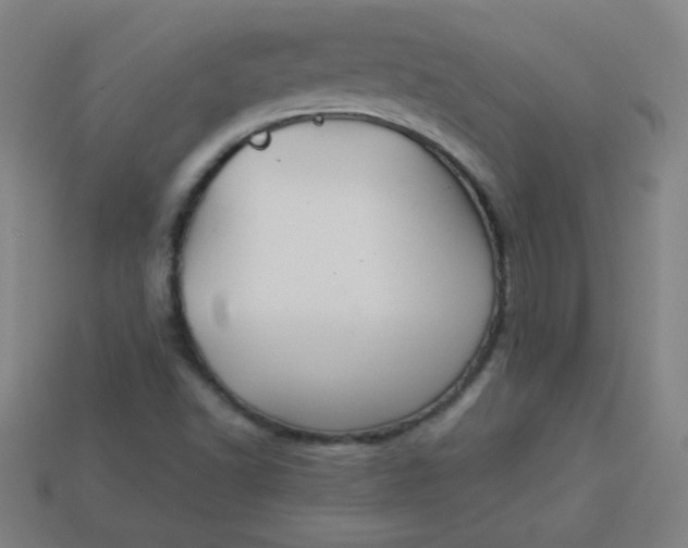 X0000113181502200909181842