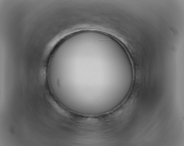 X0000113181503200909181842