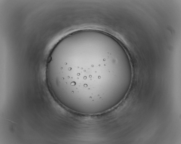 X0000113181504200909181842