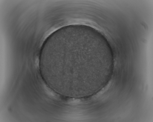 X0000113181505200909181842