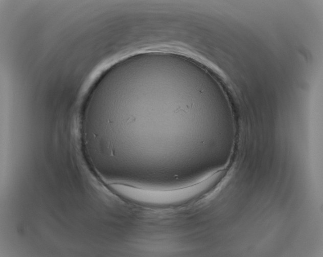 X0000113181506200909181842