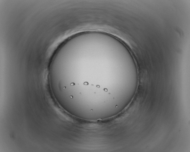 X0000113181507200909181842